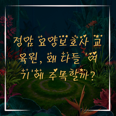 정암 요양보호사교육원 이미지