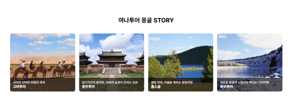 여나투어 이미지