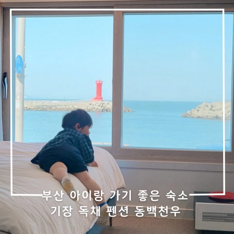 동백천우 이미지
