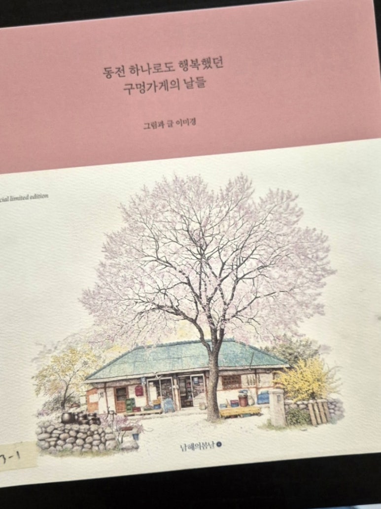 모모다인 이미지