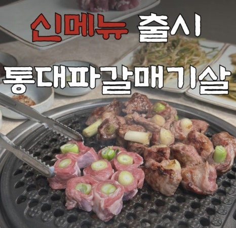돼지나무 사랑걸렸네 이미지