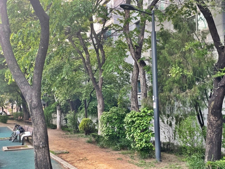 참새어린이공원 이미지