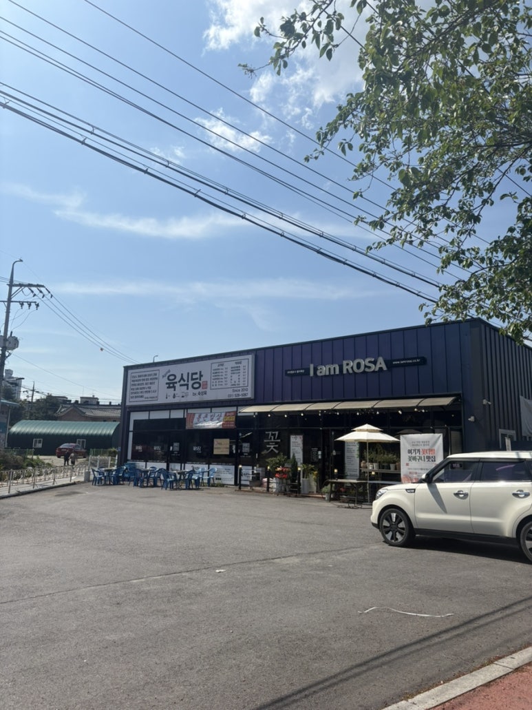 아이엠로사 이미지