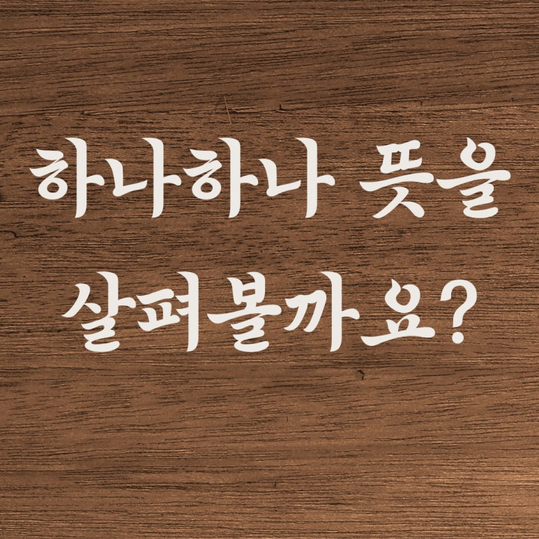 천지현황(주) 이미지