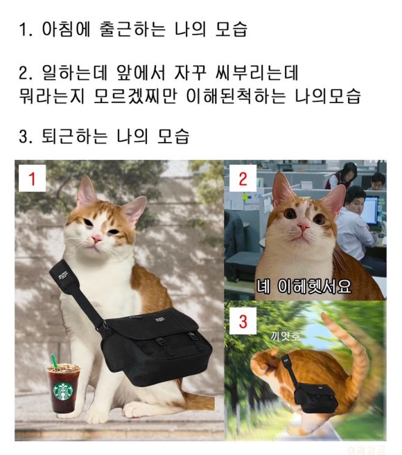 끄적끄적 이미지