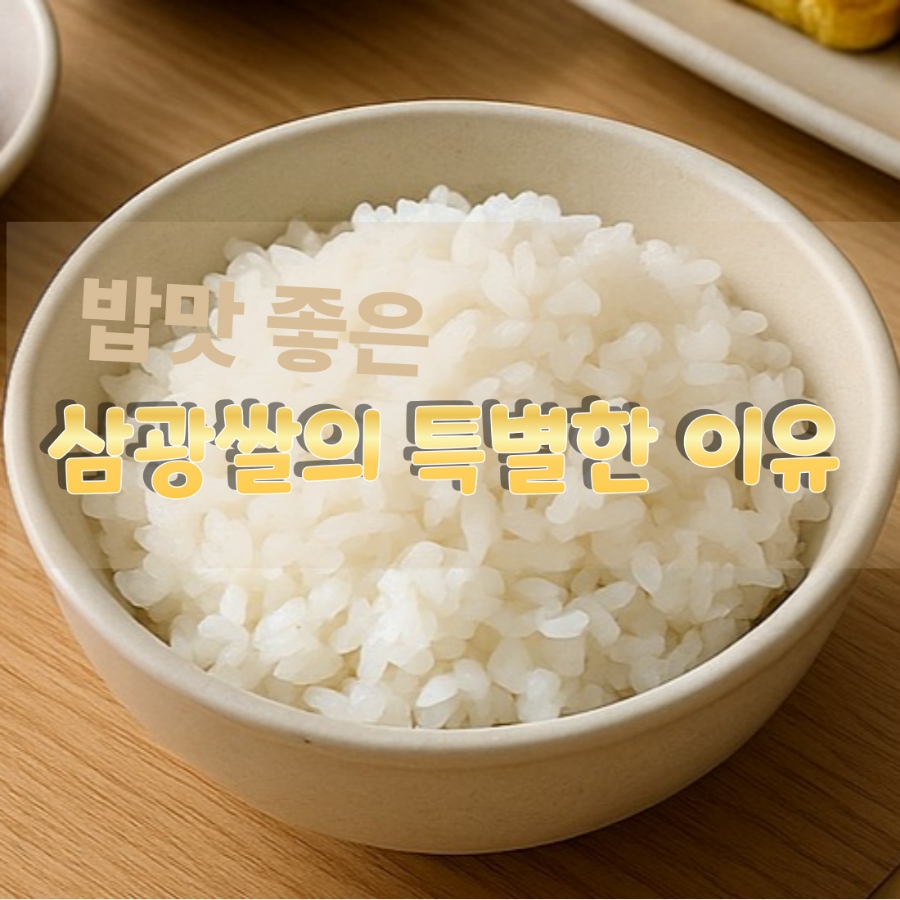 삼광개발 이미지