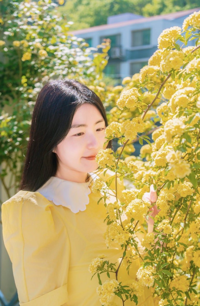 행복한꽃차카페 이미지