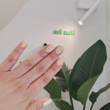 네일:솔(NAIL:SOL) 이미지