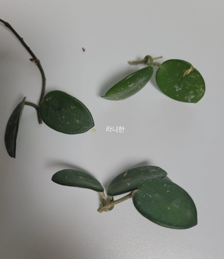 러너파트너스 이미지