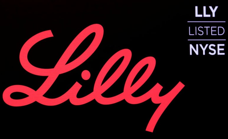 릴리(Lilly) 이미지