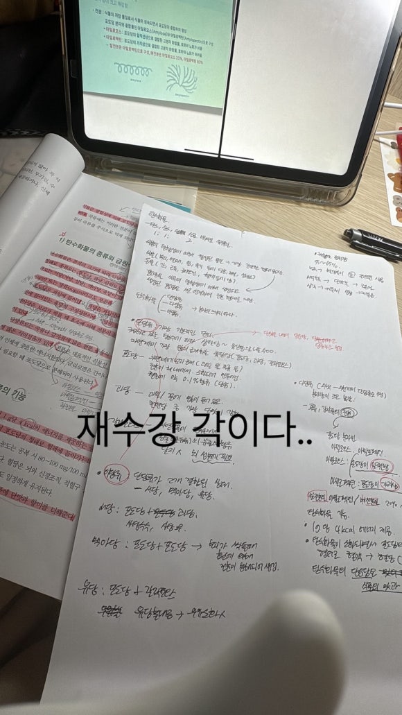 영건강 이미지