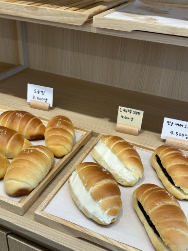 제제딜라잇 이미지