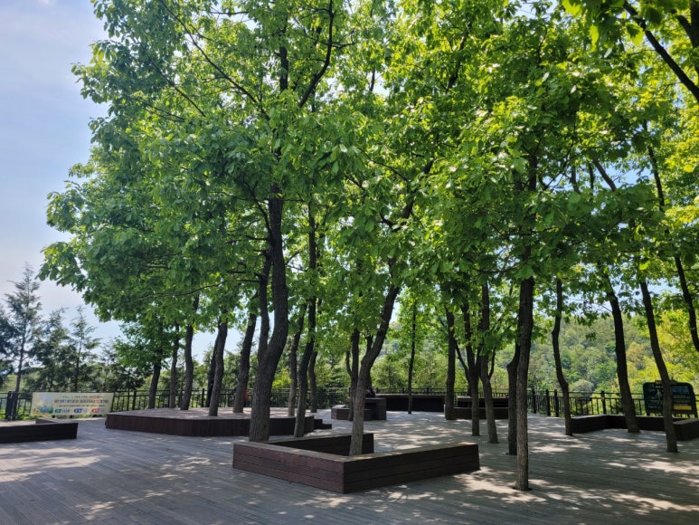 정편백 이미지