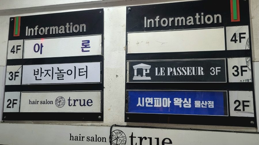 시연피아 이미지