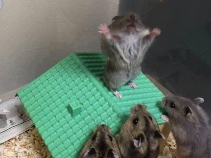 마루기획 이미지