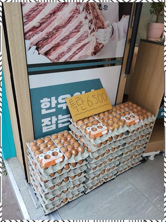 정직한한우 이미지