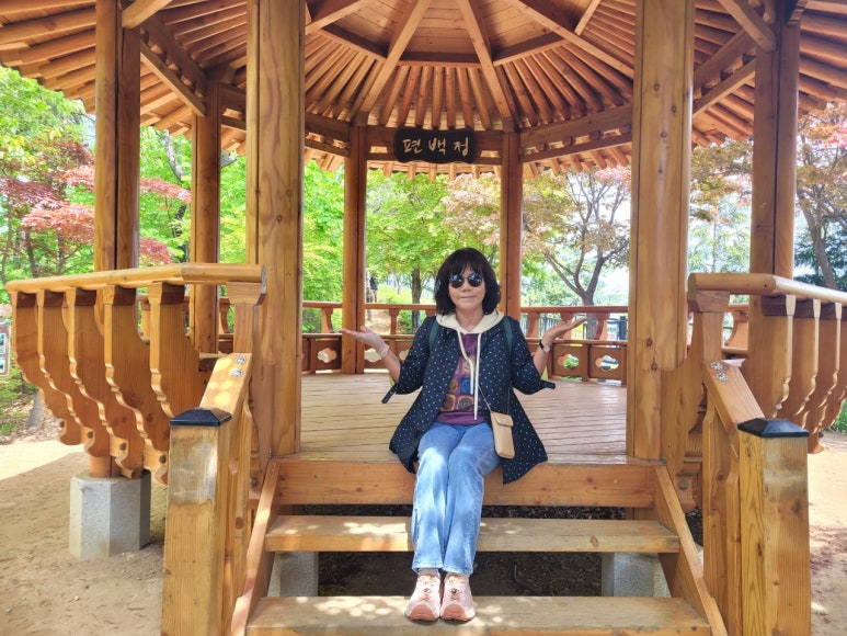 정편백 이미지