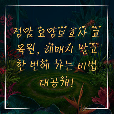 정암 요양보호사교육원 이미지