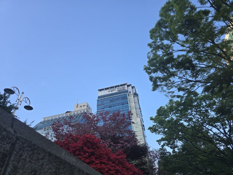 그릴종고산 이미지