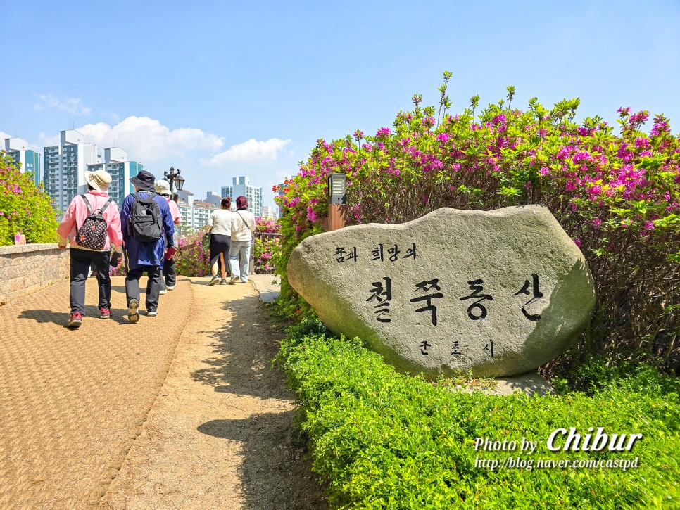 꽃동산문구 이미지
