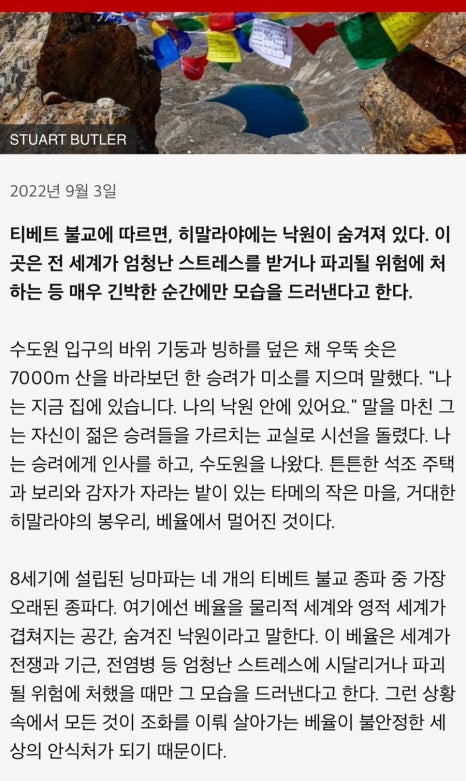 베율 이미지