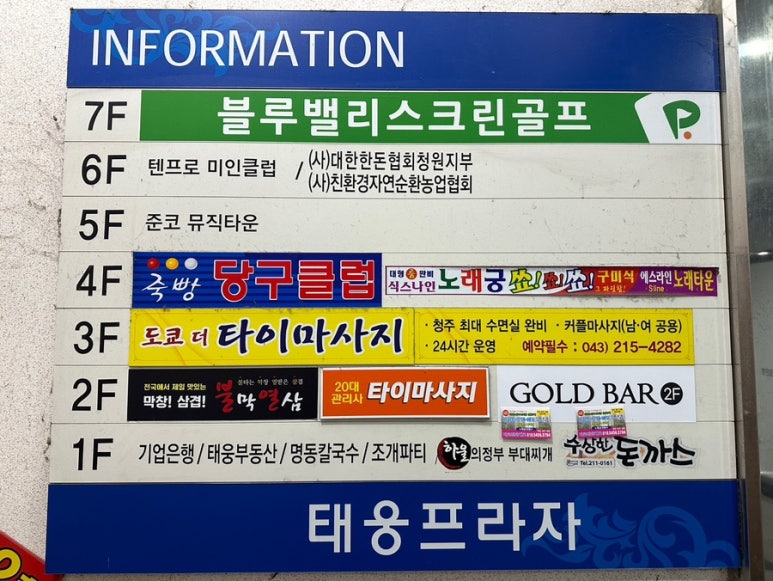 디올테라피 이미지