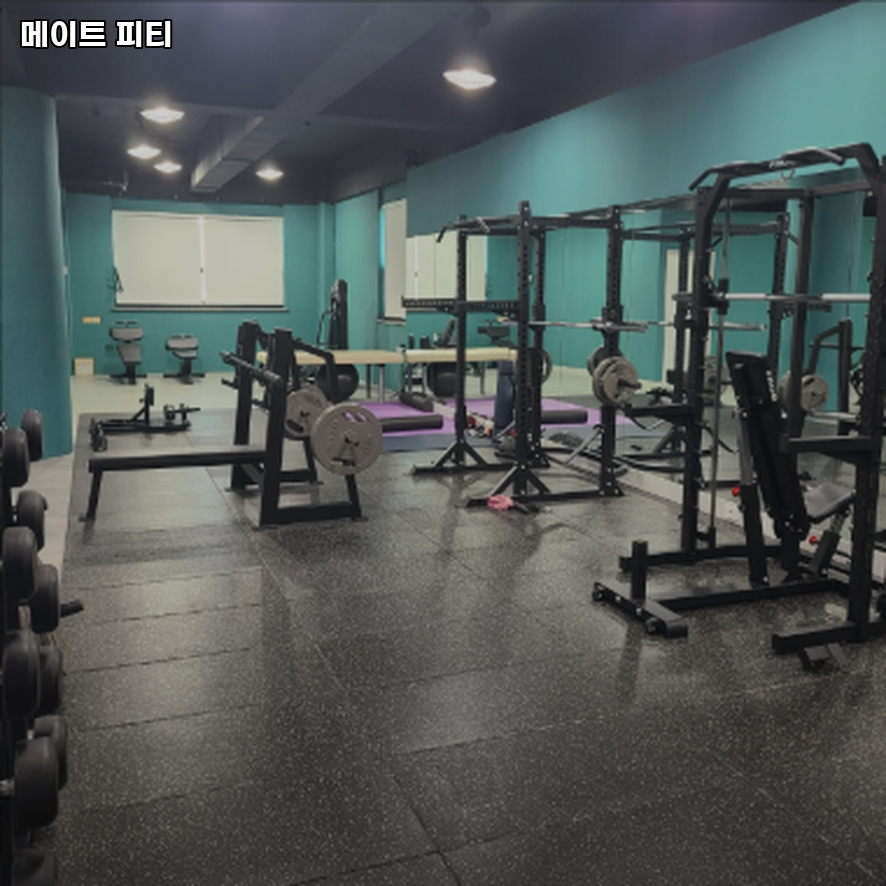 메이트피티 이미지