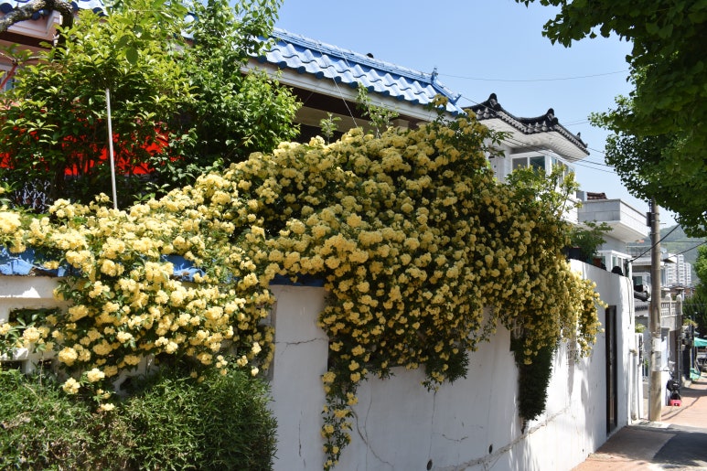 목향마트 이미지
