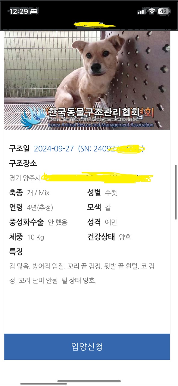 뚱베 이미지