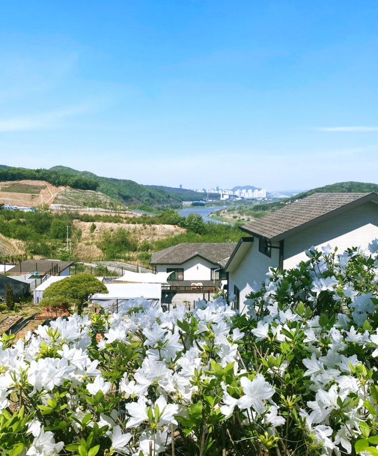 산들채 이미지