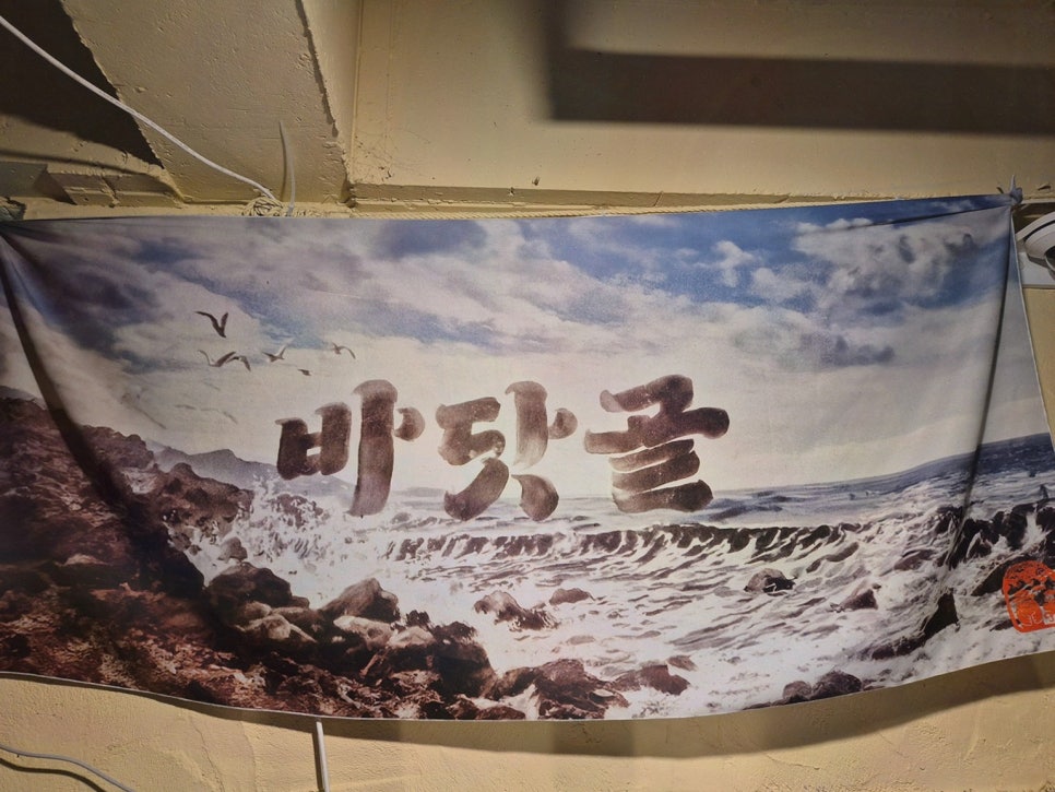 바닷골 이미지
