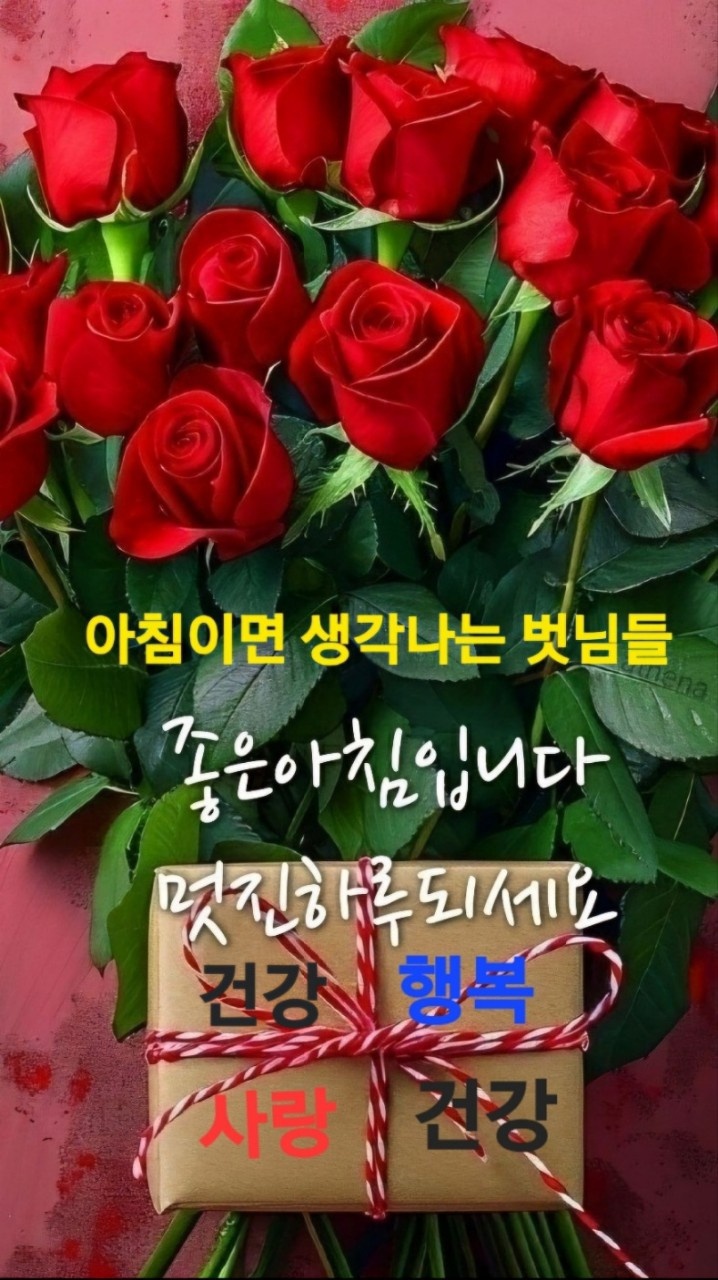 도꾸 이미지