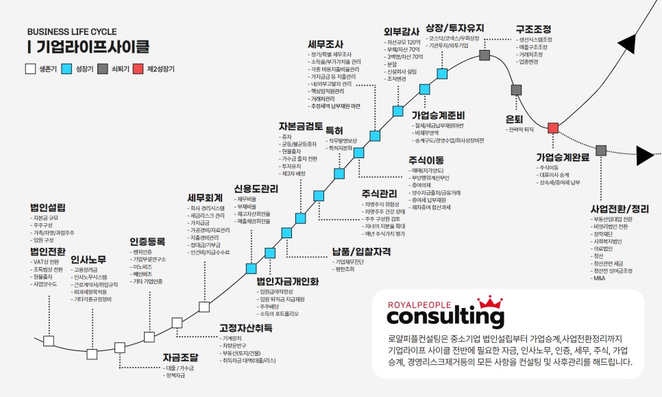 로얄컨설팅 이미지