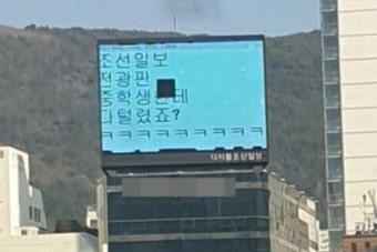 닌 이미지