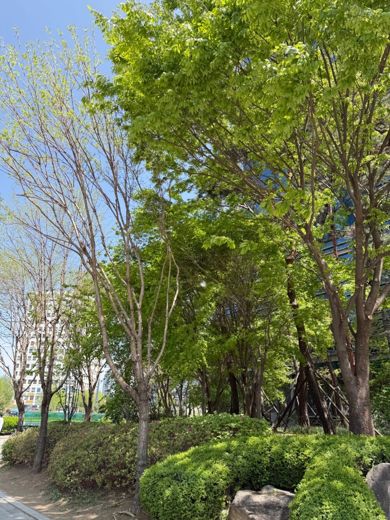 숲길 이미지