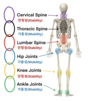 바른습관PT 이미지