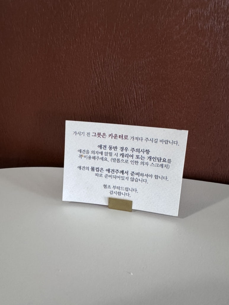 래빗앤몽키 이미지