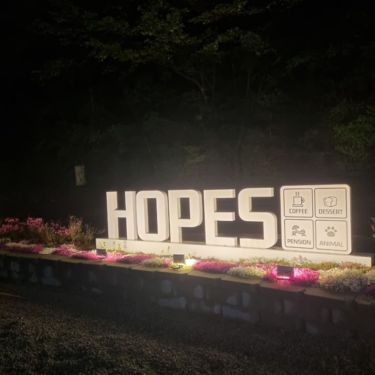 스테이홉스 이미지