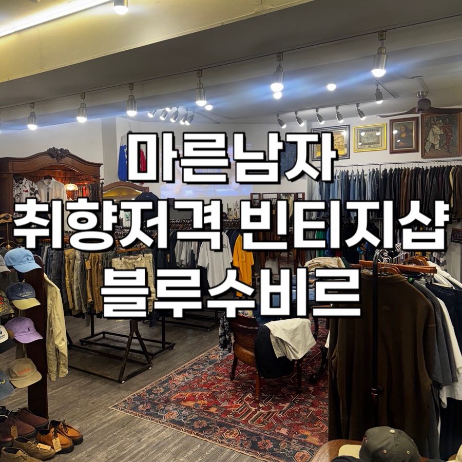 수비르 이미지
