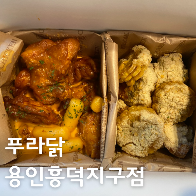 푸라닭용인 이미지