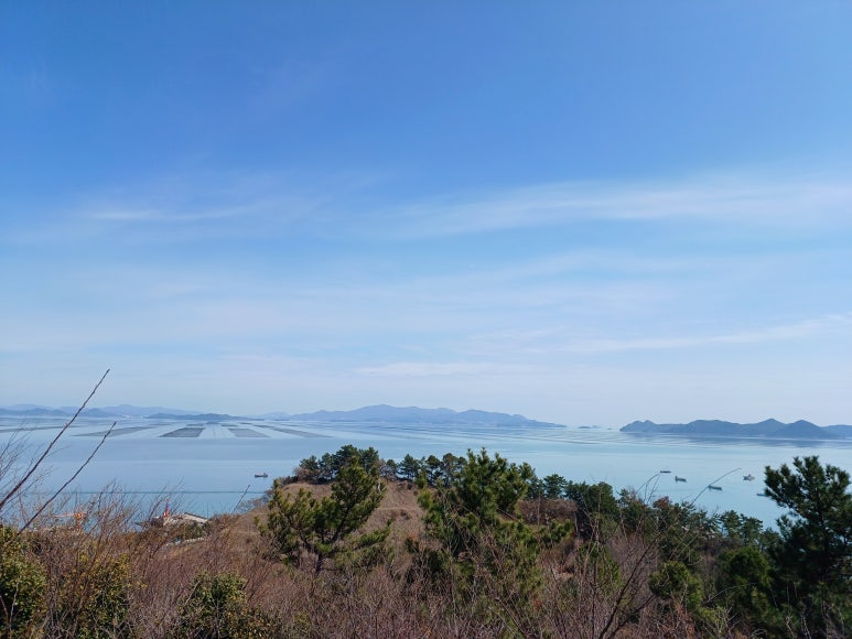 나우커피나주 이미지