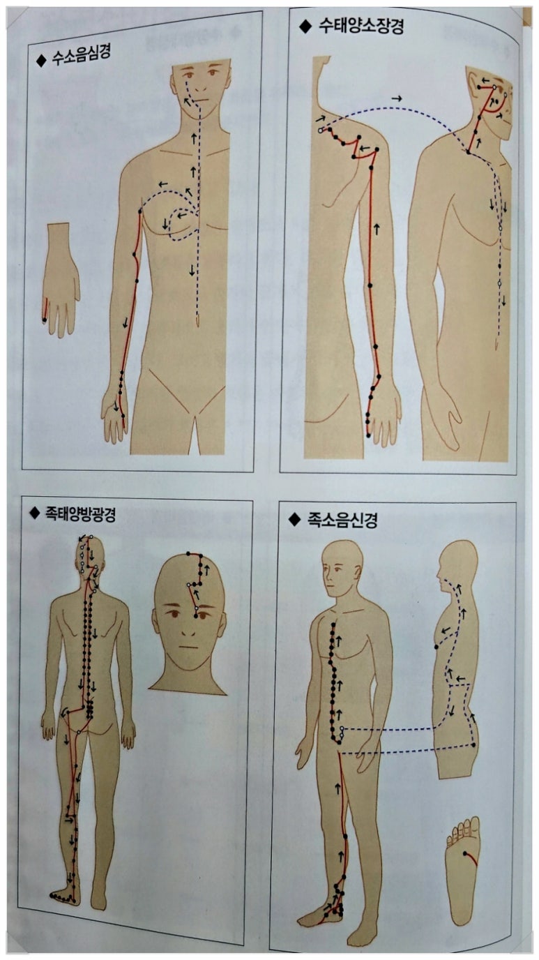 유주테라피 이미지