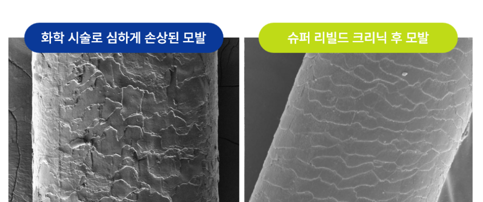 펠리아미용실 이미지