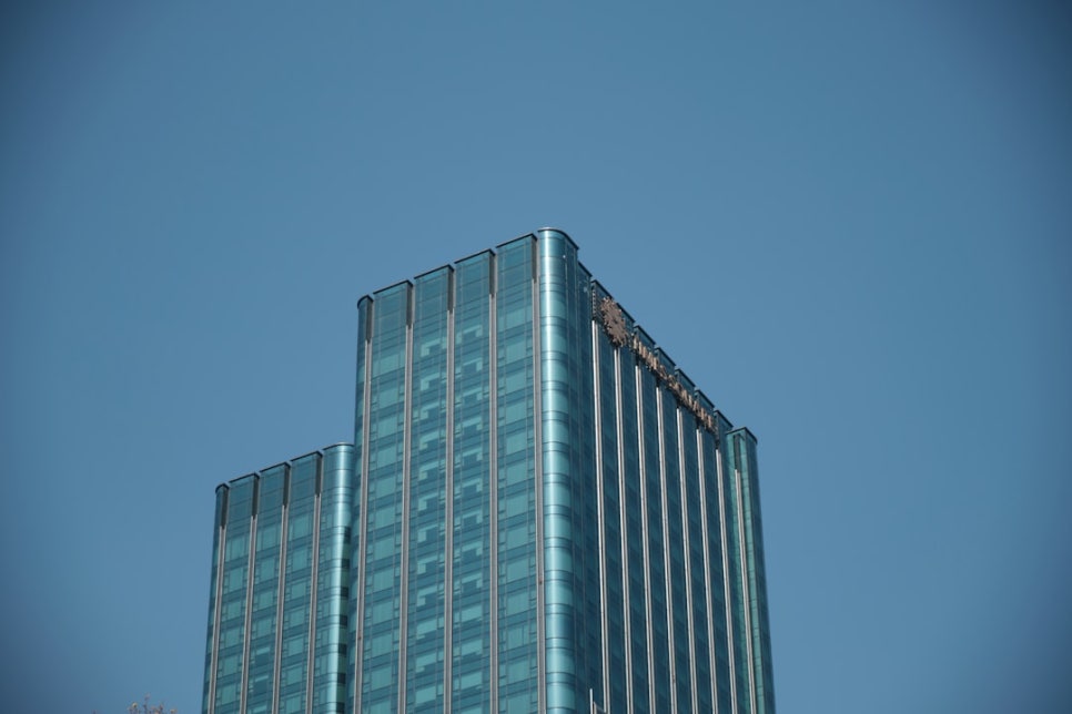 정도가설 이미지
