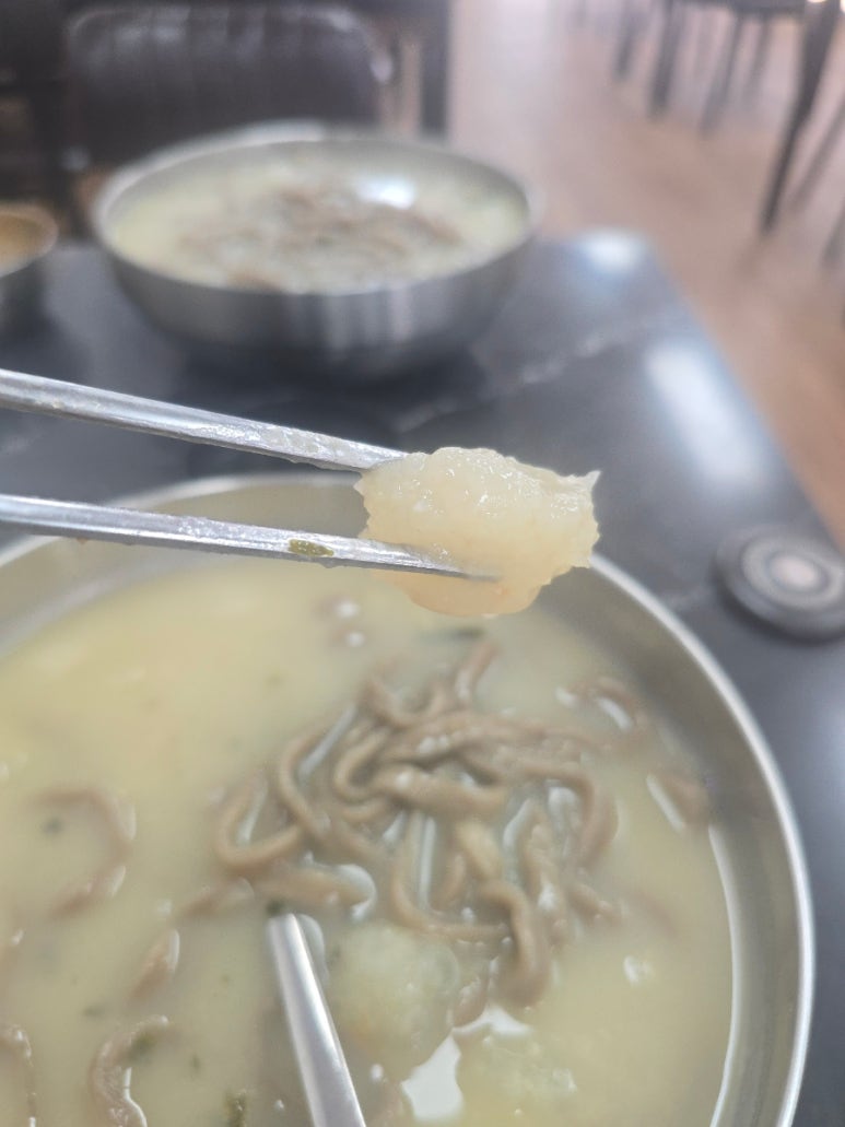 옹칼지네 이미지