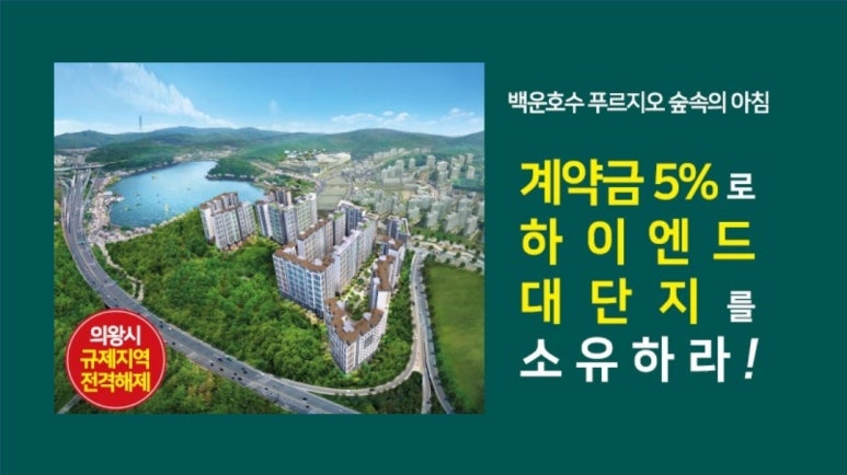 숲속의아침 이미지