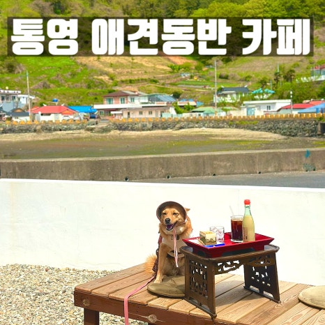 담소화 이미지