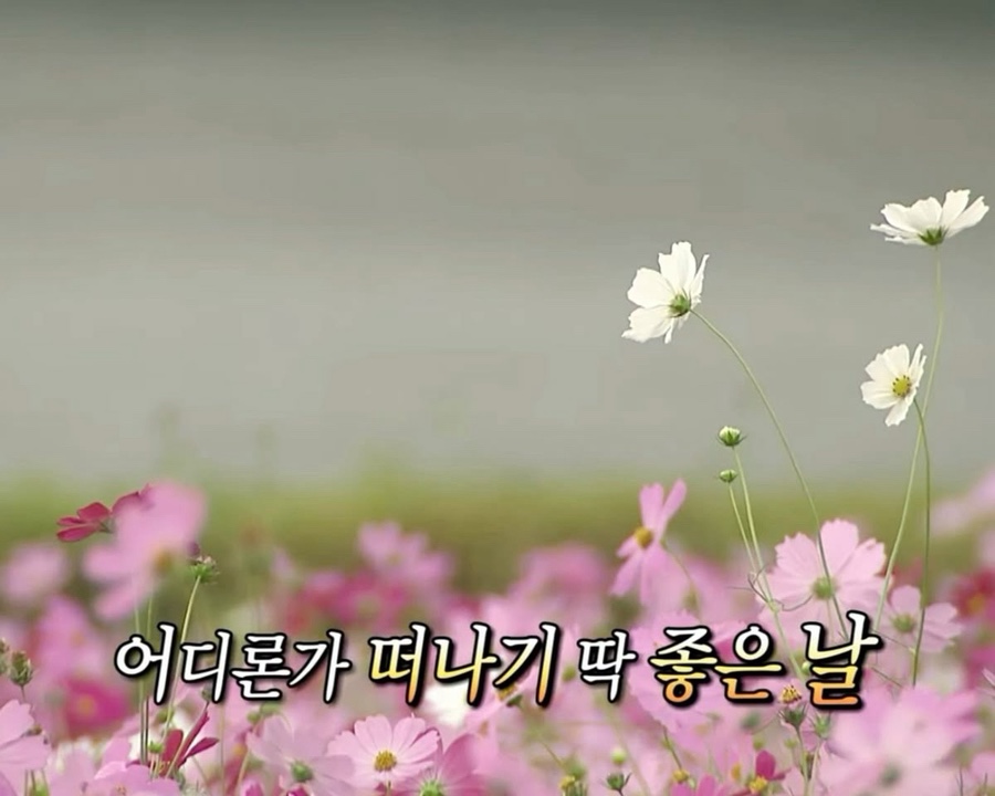 노든 이미지