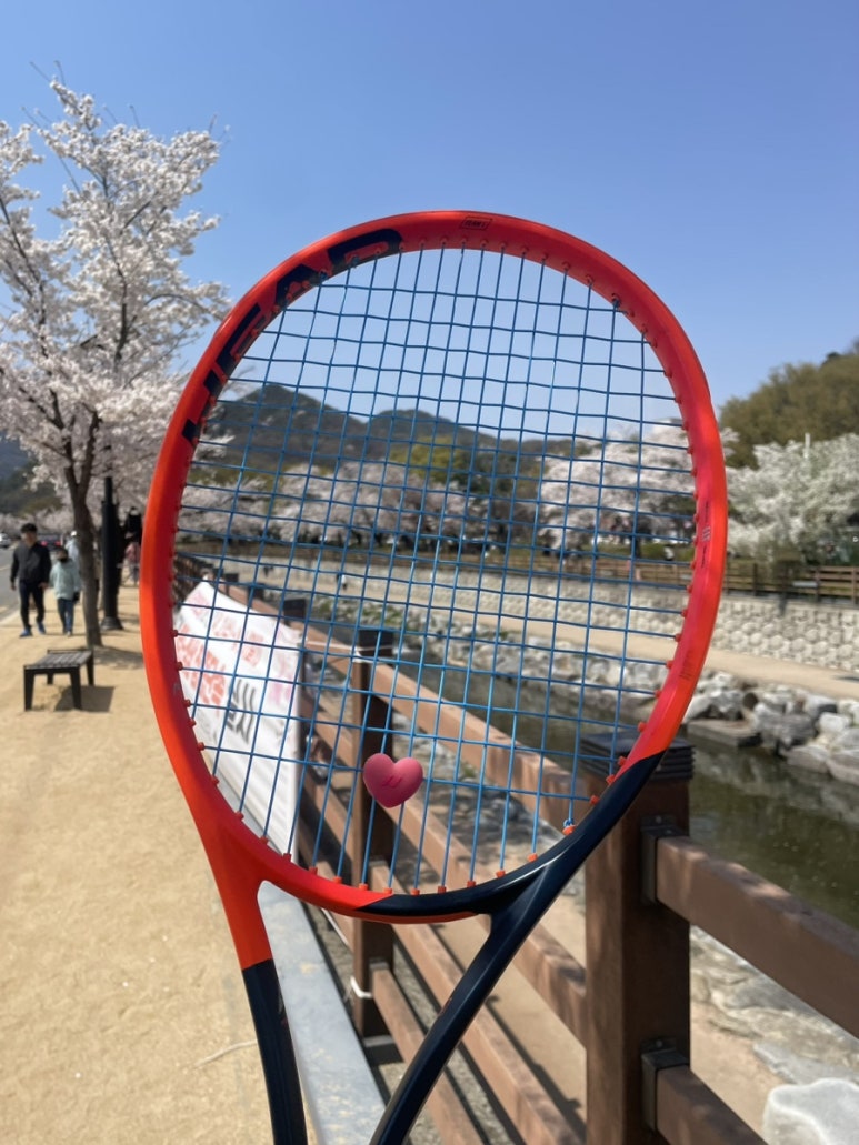스시가오 이미지