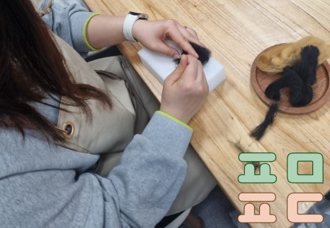 콩순이네 이미지